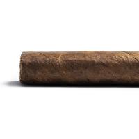 Cavalier Geneve Viso Jalapa Robusto Gordo Cigar - 1 Single
